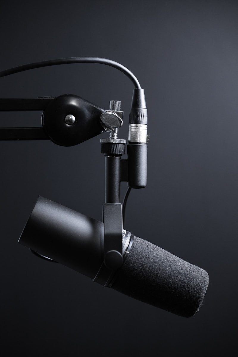 Audio Annotation Services
